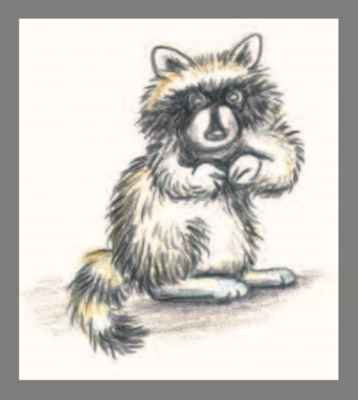 Novel Explore Course – Raccoon Summer – Chicken Scratch Books